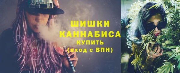 дмт Надым